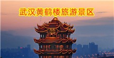 操小骚视频