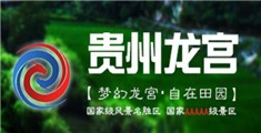 操骚逼黑丝骚女