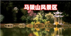 美女靠逼s/0`不知